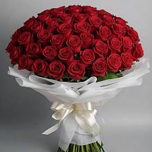 Букет 101 Красная роза Блэк Мэджик в Некрасовской
