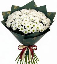 Букет цветов из:  Хризантемы #REPLACE_PRED# Некрасовской