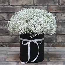 Цветочная композиция из Гипсофила в шляпной коробке в Некрасовской